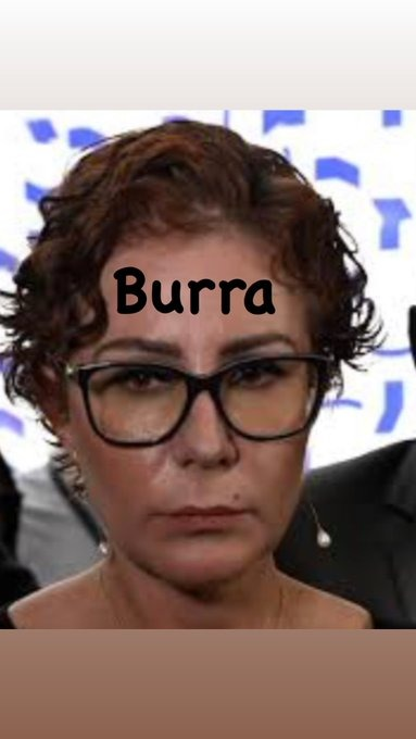 🎗Dilma Resistente (@dilmaresiste) on Twitter photo 