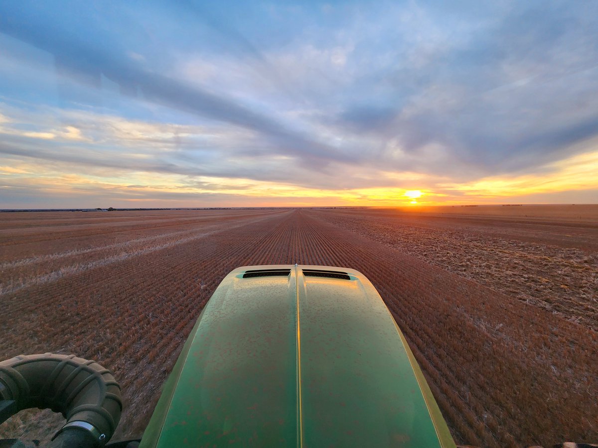 Just another day in the office. Doesn't get much better than this!

Planting lentils on the Yorke Peninsula 🌱