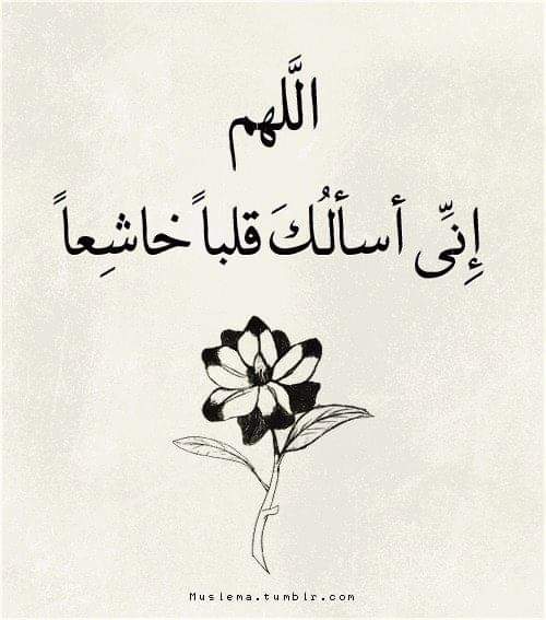 3no196's tweet photo. اللهم صلّ وسلم على سيدنا محمد وعلى آله وصحبه أجمعين https://t.co/87GL56W0XM