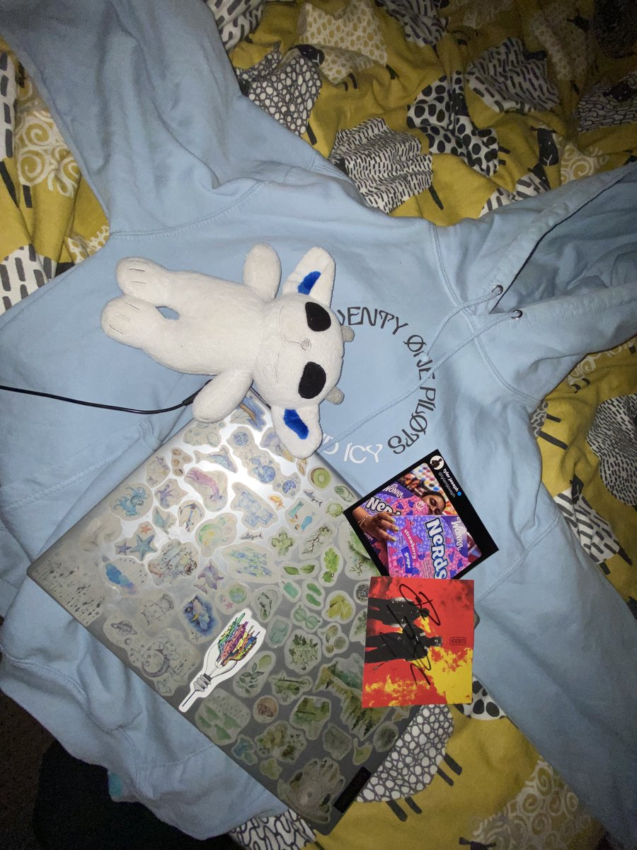 grapefantava's tweet photo. Itโs currently 2:37am and my #clancysleepover set up goes hard ๐ฅ๐ฅ
#stayuplateclub
#clancysleepovergetyourblankies
about to nap again, see you guys later @twentyonepilots :D #hashtag #clancy #howmanyhashtags https://t.co/RKEhe7Sbur