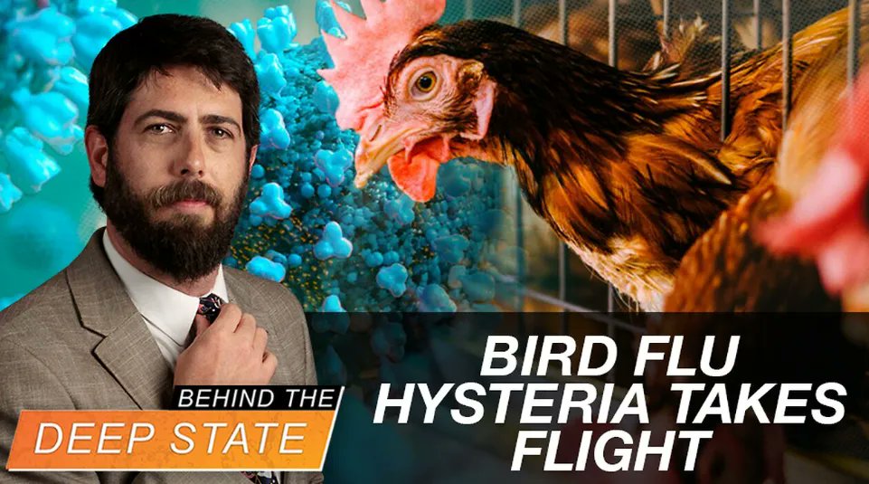 Alex Newman: Bird Flu Hysteria Takes Flight Amid WHO Power Grab& 2024 Election Read Article... olivetreeviews.org/bird-flu-hyste… #Health #Paranoia #WHO