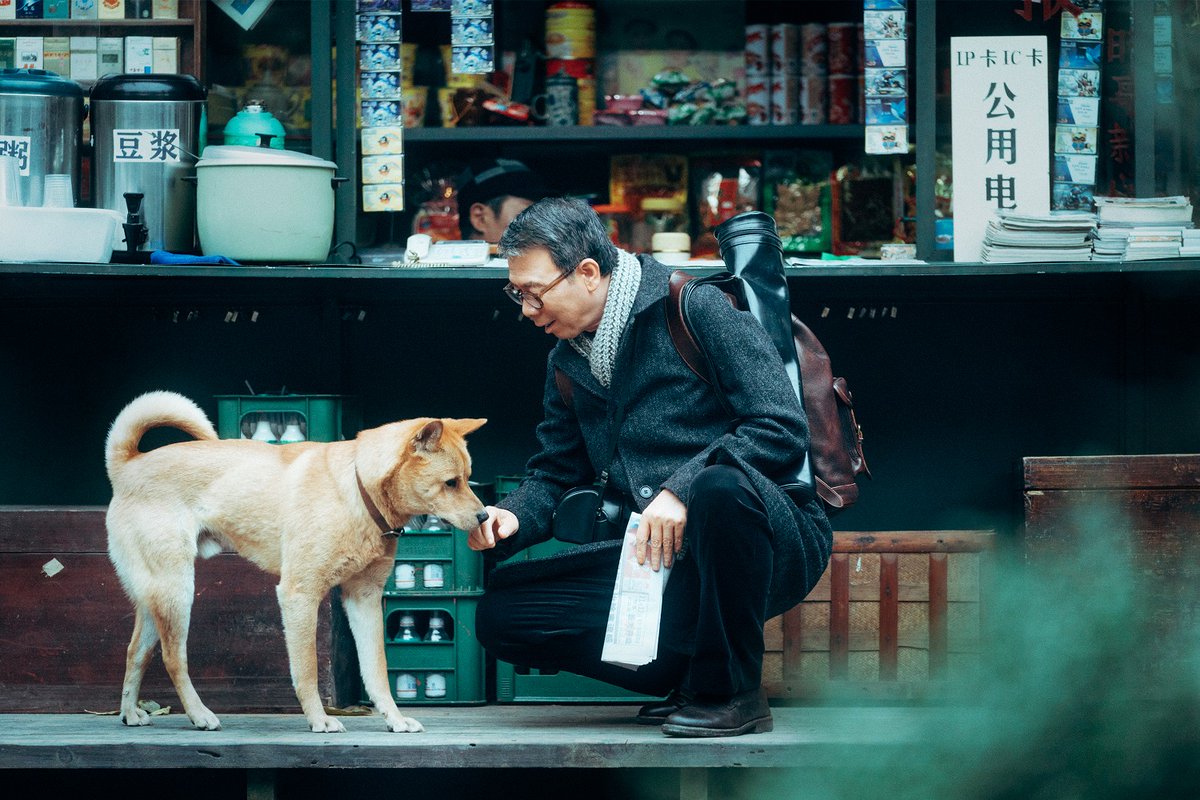 'Hachiko: Una Historia Verdadera' es la nueva versión de la historia del perro fiel que espera a su amo en la estación. Checa la opinión de @laveoonolaveo elnorte.com/cgSYVn