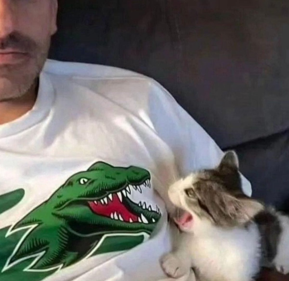 pics that go hard (@picsthatgoharrd) on Twitter photo 