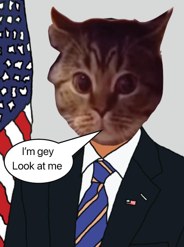 @lookimgaycat $gey