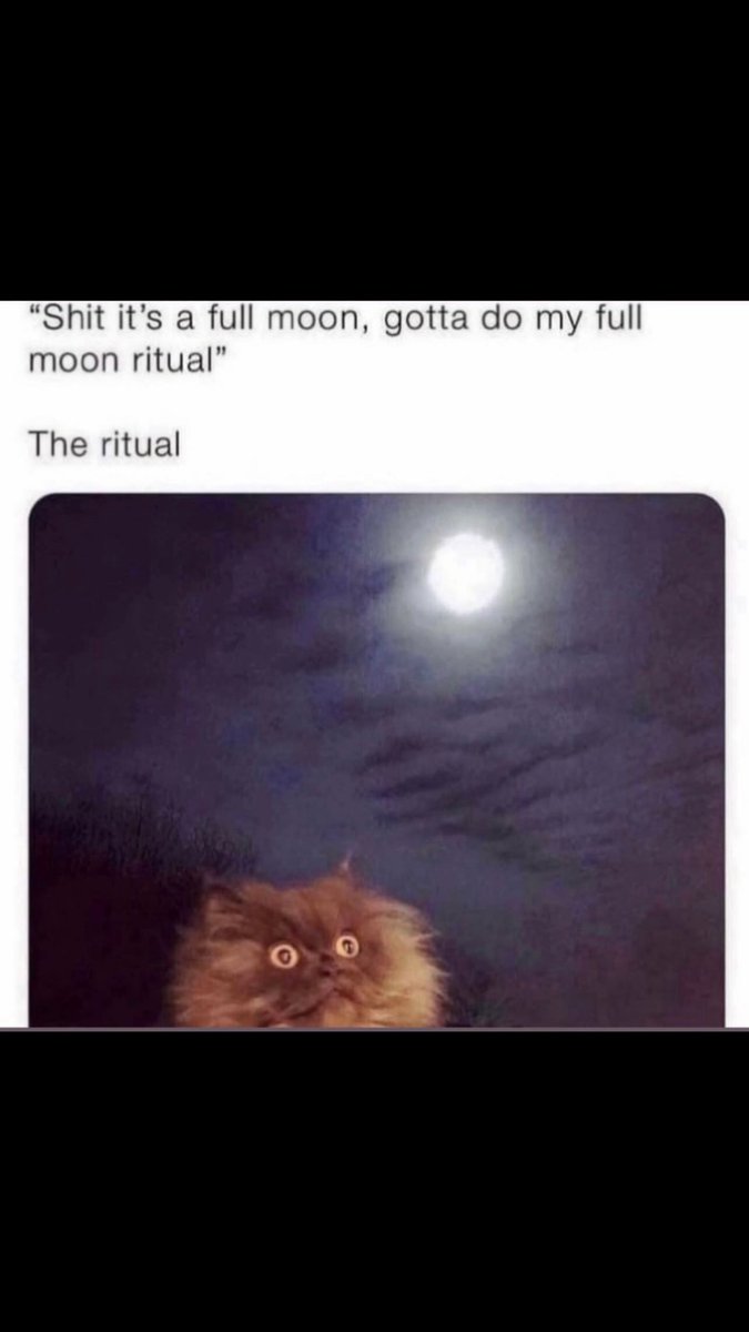 Veterinary Full Moon | TikTok, image size:675x1200