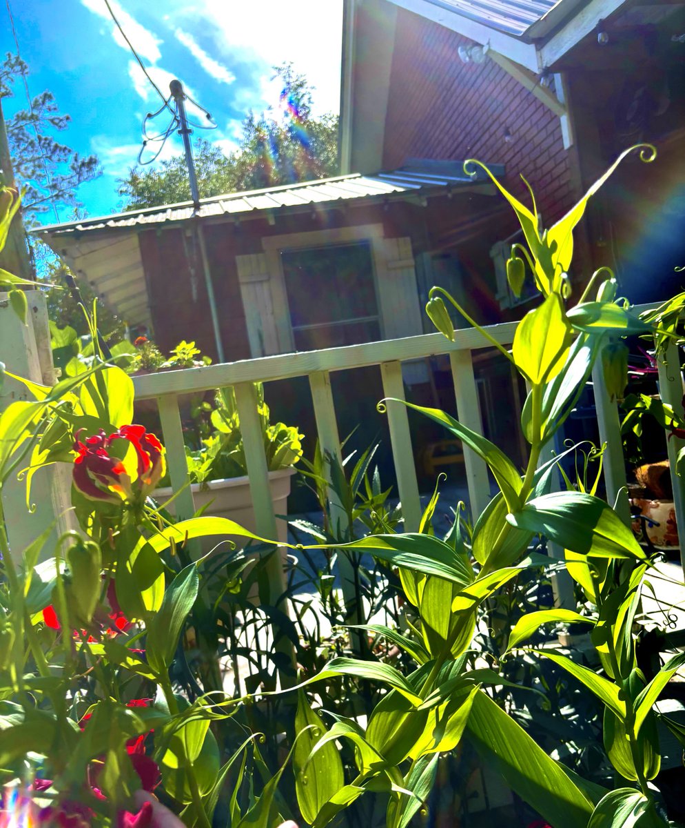 Us in a different universe