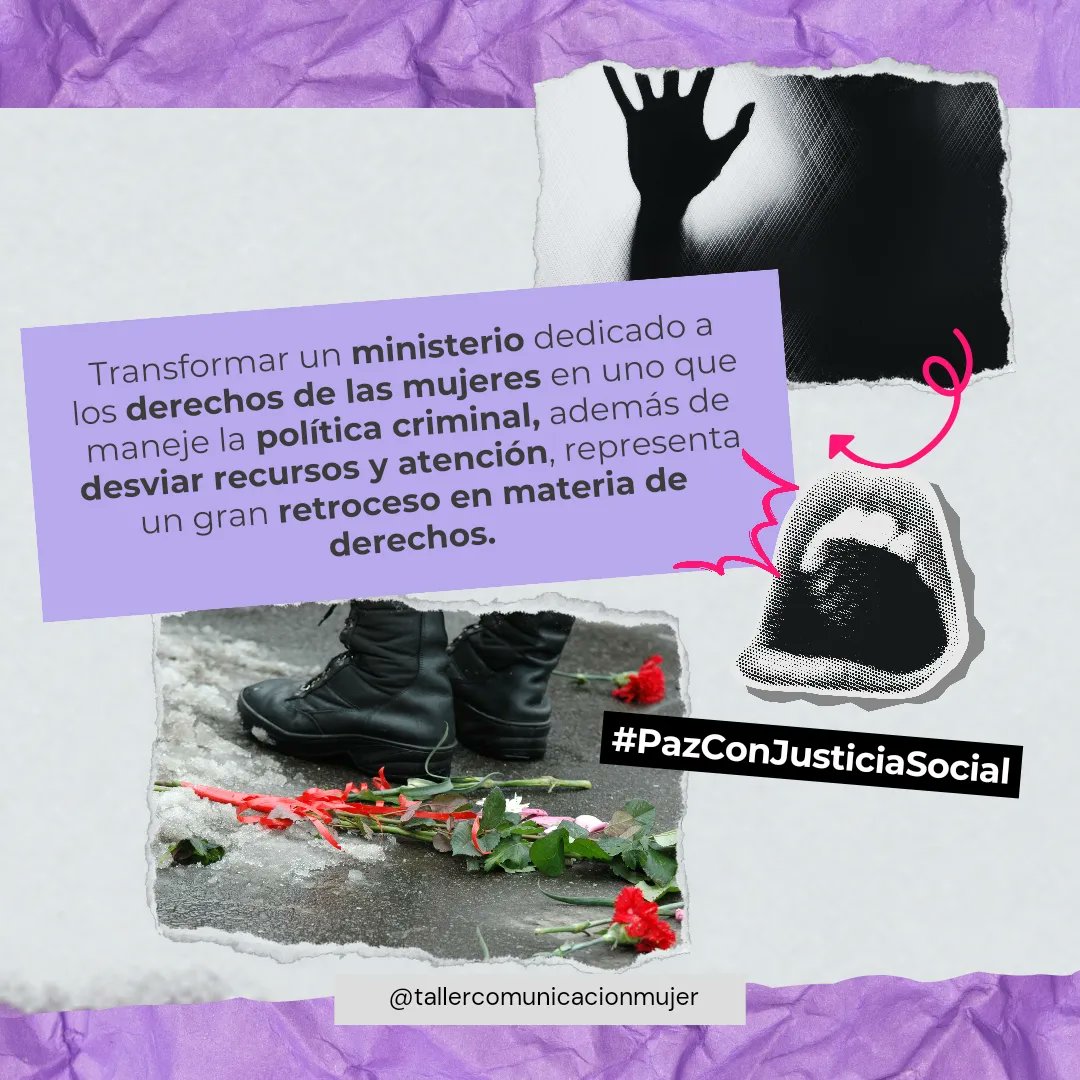 Taller de Comunicación Mujer tweet media