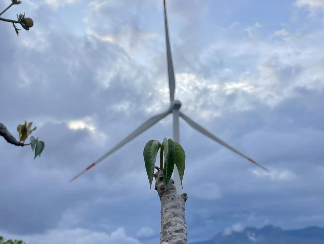 🙋Taking action for #biodiversity preservation!💪 

💚We're dedicated to protecting the environment around our project sites worldwide. Beyond construction, we take multiple measures for #wildlife protection, such as relocating precious plants🌳 from our wind farm in Ecuador and