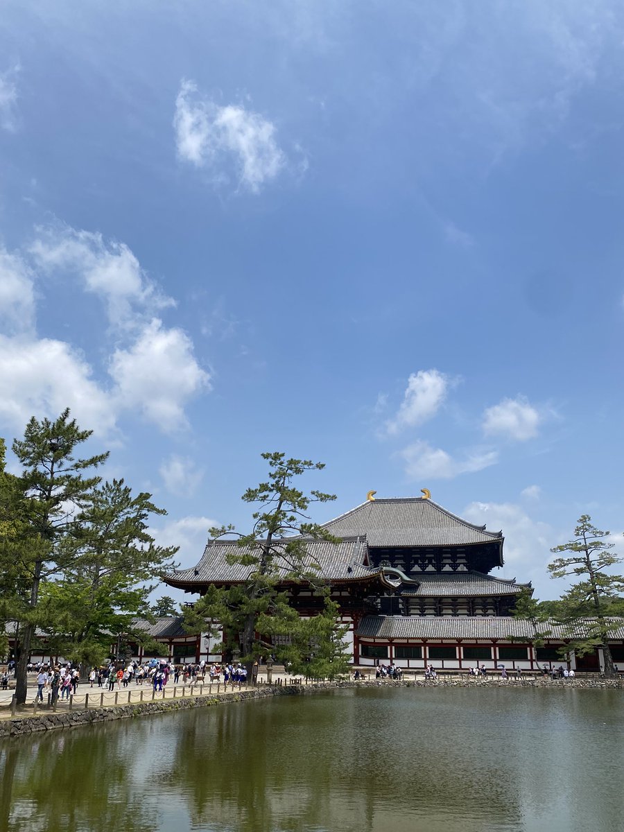 おはよう、奈良！
ゆっくり起きて身支度をして、東大寺に来ました。
相変わらず大勢の人、人、人！
梅雨入り前の爽やかな季節、どうかマナーを守って楽しめますようにと祈るような気持ちになります…。