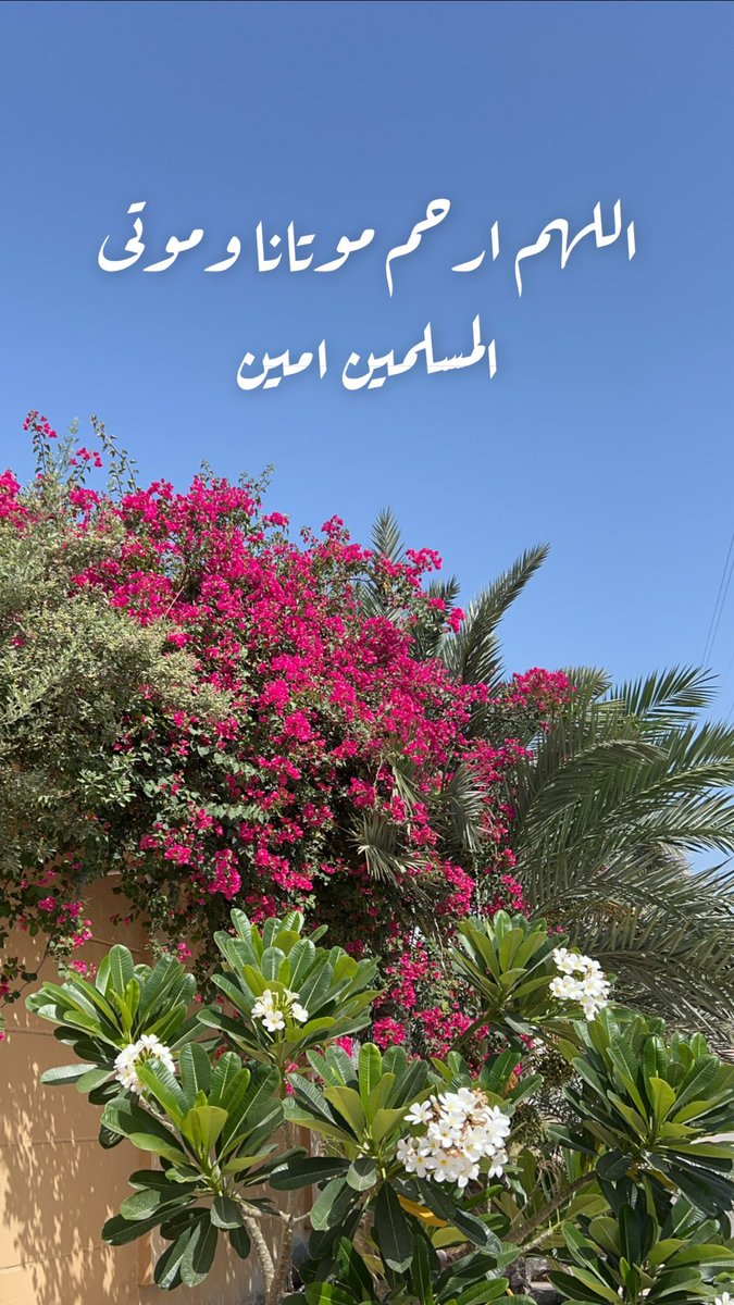 madasaab's tweet photo. يارب ياكريم.. https://t.co/6a7J9gH1L3
