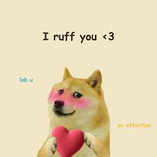 Kabosu is the most famous dog in the world. Every country should go into mourning for at minimum 3 days to properly respect the TOP D !