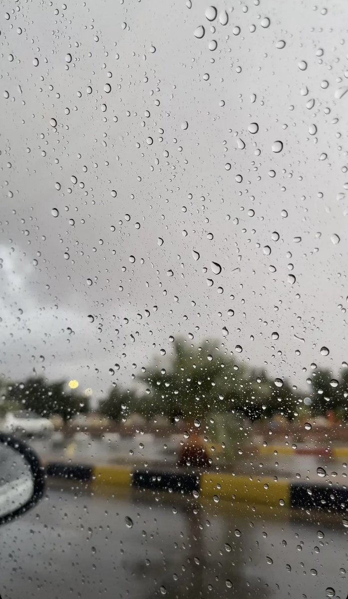 بنت المدينة🌸 tweet media