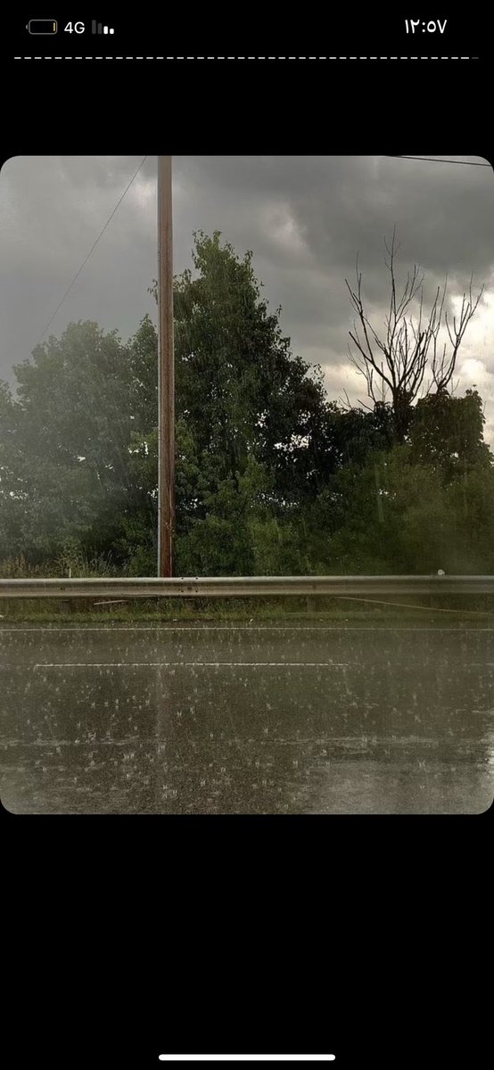 بنت المدينة🌸 tweet media