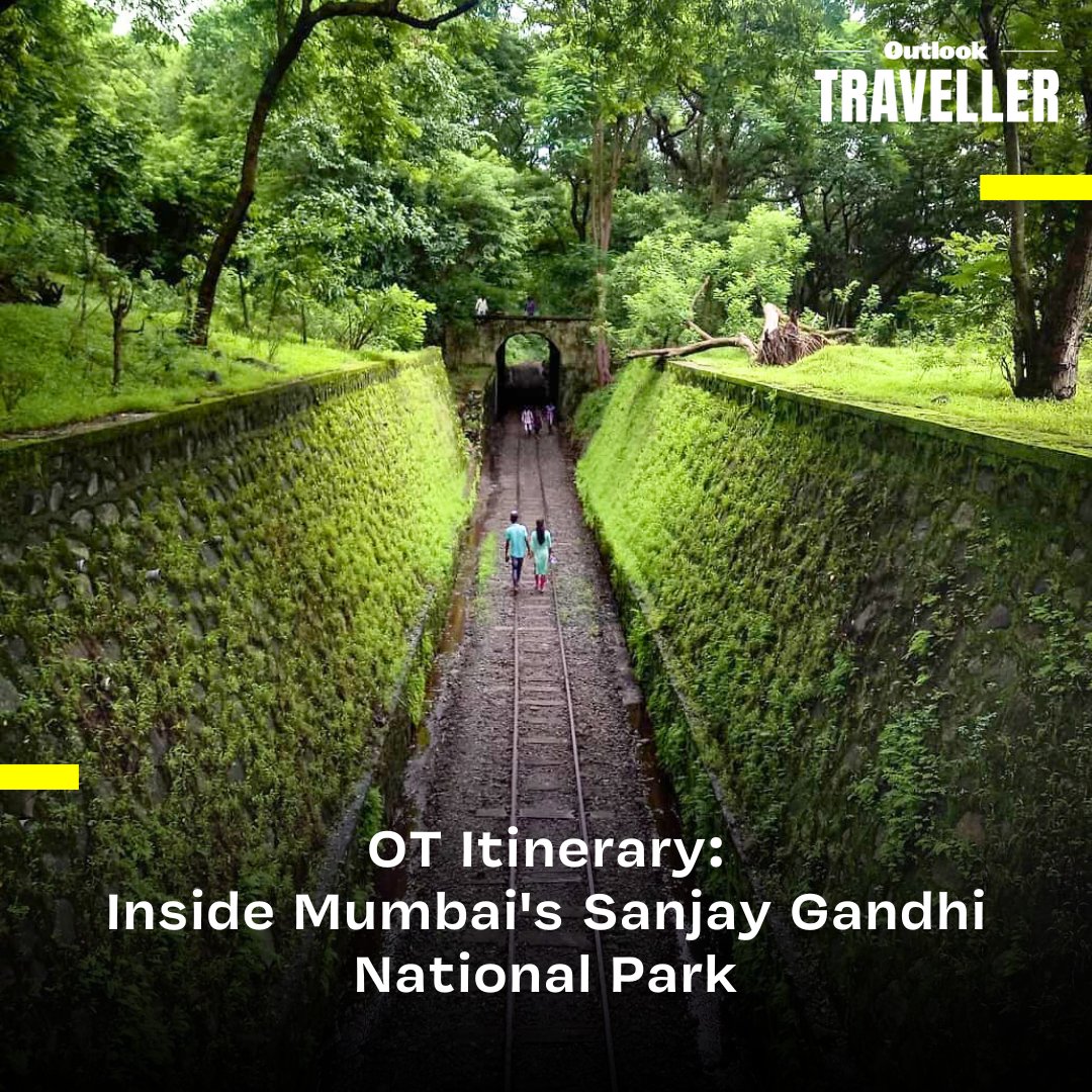 #OTItinerary | Did you know Mumbai's SGNP hosts the ancient Kanheri Cave Complex, with 120 caves carved from a single rock? Explore this urban sanctuary.

Learn all about it in our guide at the link.

#OutlookTraveller #Mumbai #Maharashtra #Travel

outlooktraveller.com/experiences/na…