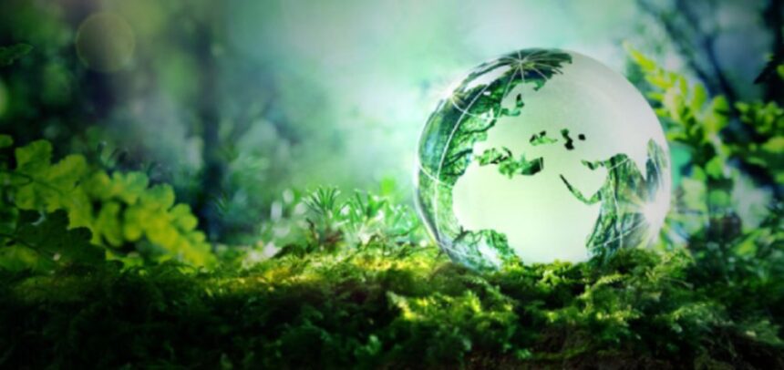 #LecturaRecomendada ✅ Hoy te compartimos este interesante artículo de @Corresponsables sobre las herramientas de verificación y transparencia, como el sistema de verificación medioambiental #ETV, como vía para combatir el #greenwashing. ➕corresponsables.com/opinion/greenw… @LIFEproETV