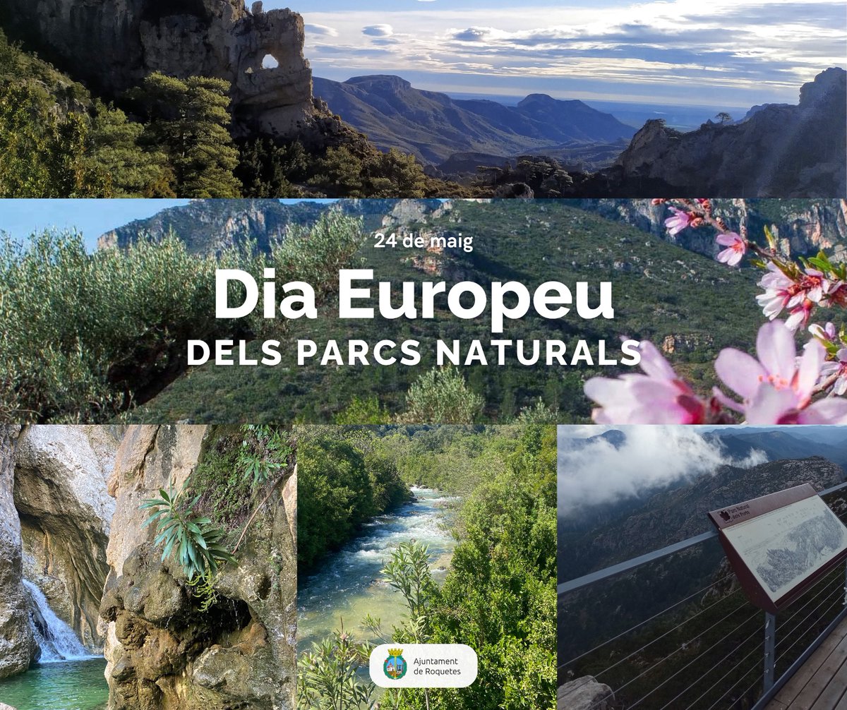 👉 En el #DiaEuropeuDelsParcsNaturals, commemorem la importància de la conservació i biodiversitat als espais naturals protegits.

El #ParcNaturaldelsPorts, a #Roquetes, és un tresor amb paisatges impressionants per als amants de la natura i els entusiastes de l’aire lliure. 🏞🌳