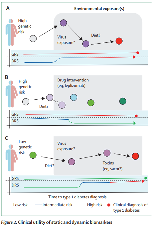 The Lancet Diabetes & Endocrinology tweet media