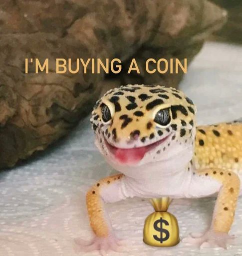 dancinglizardio's tweet photo. $LIZD #Crypto #memescoin #DancingLizard https://t.co/ogficUZeFi