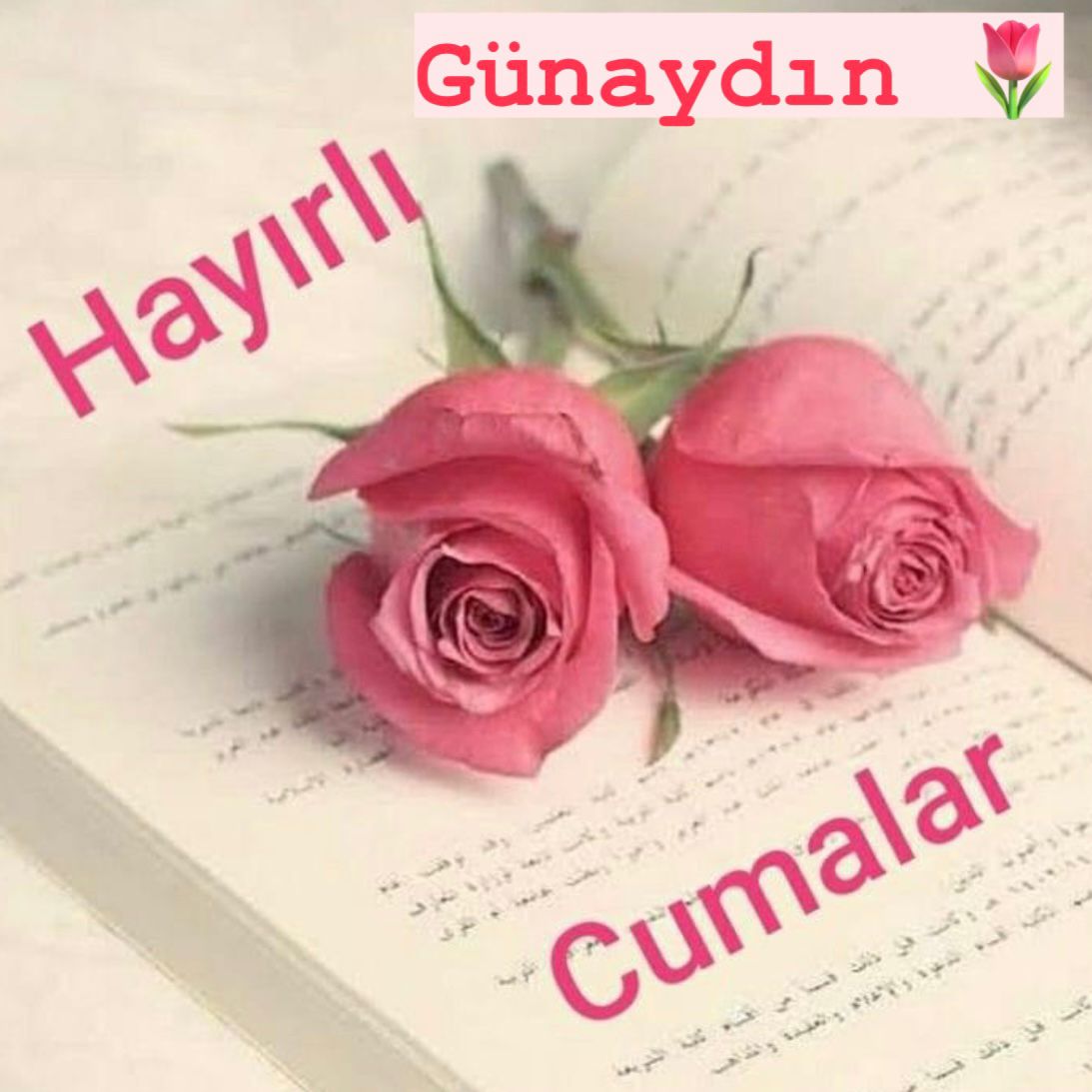 Hll__1405's tweet photo. @Fatma89820785 Ve Aleyküm Selam #AkCan'ım 🙋🏻♀️
Hayırlı Nur'lu 🌹 kokulu Cuma'mız olsun Canıım 🌹🕋🕊❤️ https://t.co/dhId9WFhmu