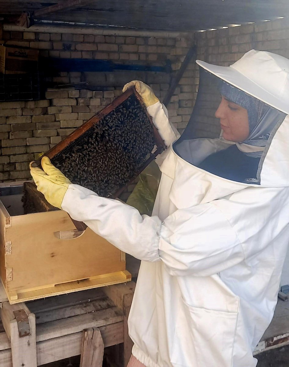 🐝Maryam seized the chance to participate in the @WFP Beekeeping Program in #Iraq. Now, honey produced by Maryam's bees is in high demand in local shops. 📣 Help us continue to support & uplift women like Maryam, ensuring a brighter & more inclusive future for all.