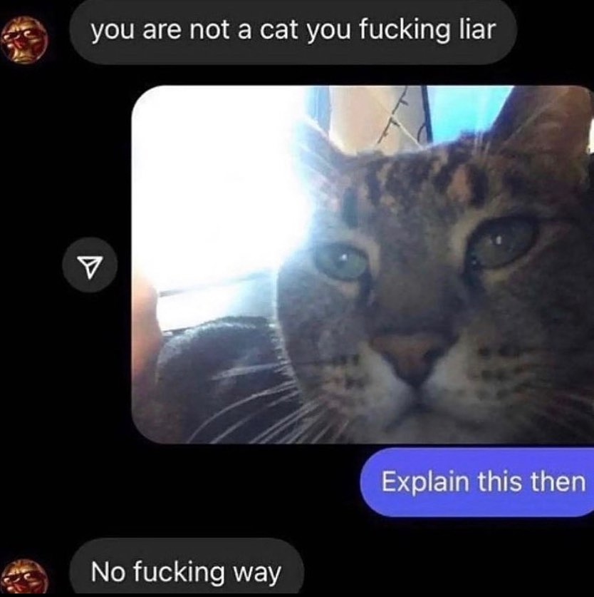 PunchingCat's tweet photo. https://t.co/y6NmhiEJTk