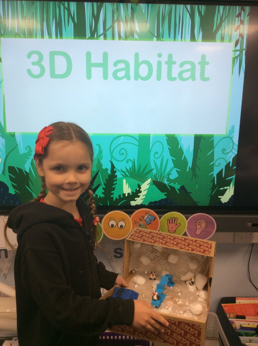 Y1CRA's tweet photo. The Y1 children worked incredibly hard to make their 3D habitats. Fantastic work!😀👏🙌#designandtechnology https://t.co/gWyAZCtRwZ