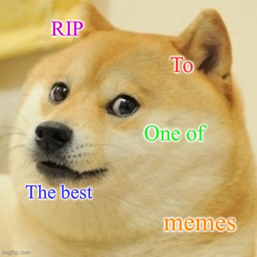 R.I.P. $Kabosu tweet media