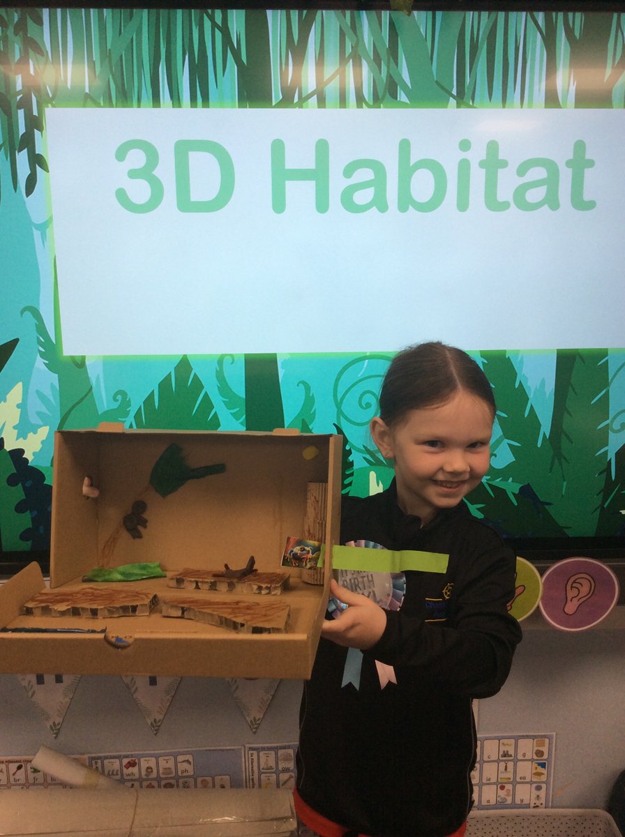 Y1CRA's tweet photo. The Y1 children worked incredibly hard to make their 3D habitats. Fantastic work!😀👏🙌#designandtechnology https://t.co/gWyAZCtRwZ