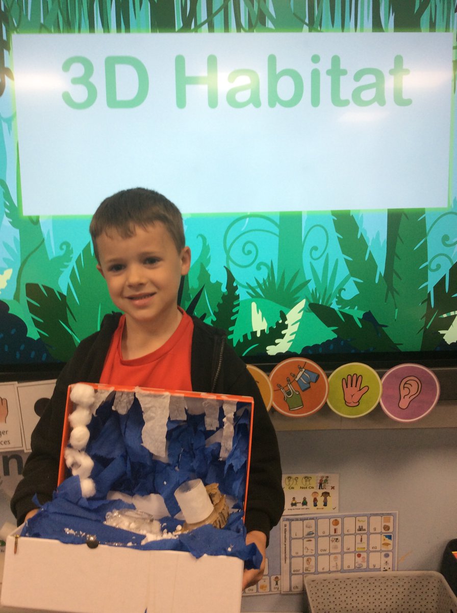 Y1CRA's tweet photo. The Y1 children worked incredibly hard to make their 3D habitats. Fantastic work!😀👏🙌#designandtechnology https://t.co/gWyAZCtRwZ