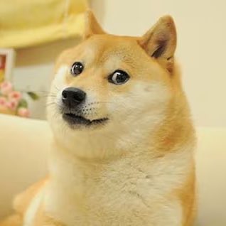 AirdropAlertAAD's tweet photo. RIP🙏

The #Doge Meme dog, Kabosu has died. 

She was 18 years old. https://t.co/fXBZLfXjgM