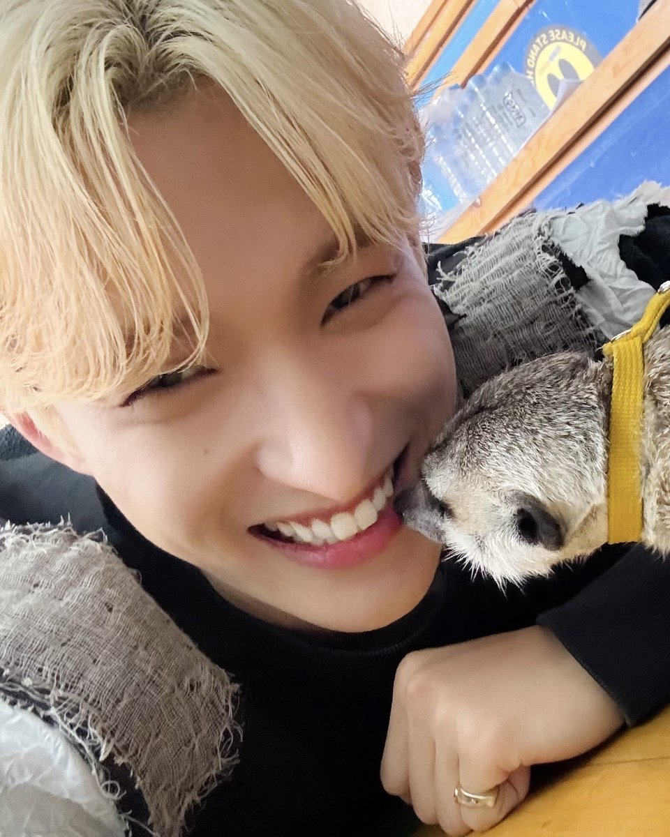 pledis_17's tweet photo. [17'S 도겸] 청춘찬가 https://t.co/VWnUmAN26O