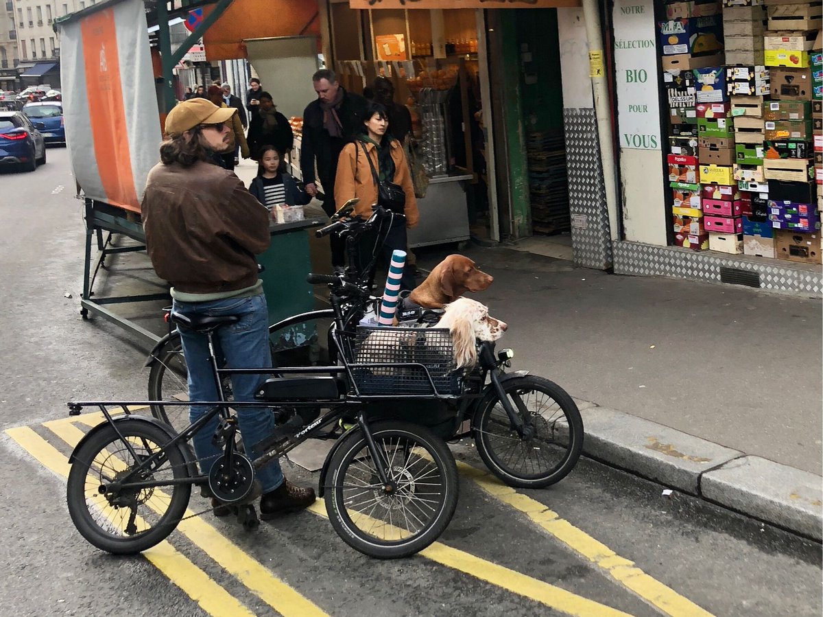 Deux chiens, deux vélos, deux cyclistes, l’un qui surveille les chiens (et les vélos !), l’autre qui est en train d’acheter à la boutique.