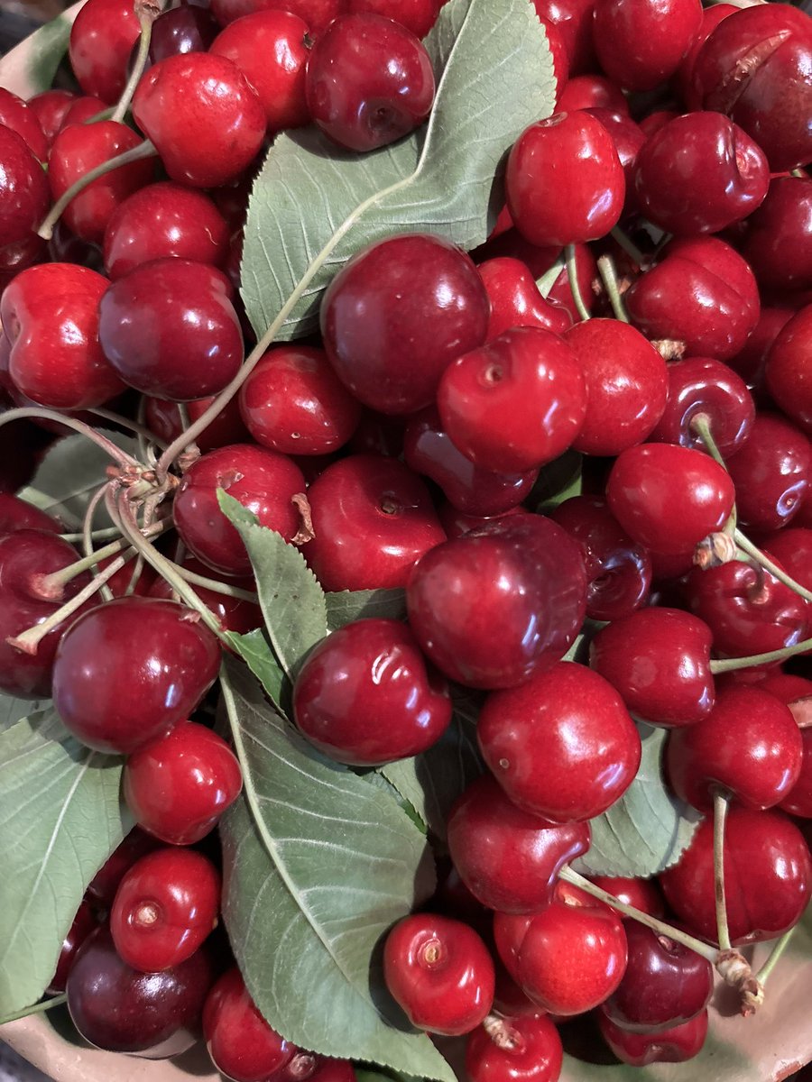 PardoMestre's tweet image. #BonDia #Lleida Han obert la porta i els hi duien un bon grapat de cireres de secà, joies petites i dolces i aquell “crec” al mossa…(cròniques cvy) #privilegis ⚫️🟢⚫️🔴⚫️