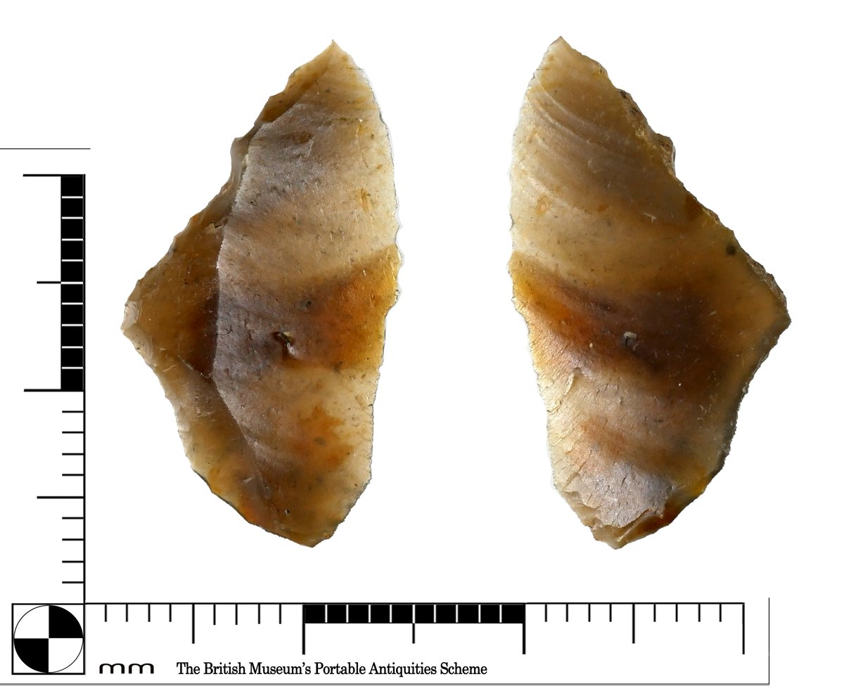 You'll need to have a good eye to spot one of these, but they're important to record with @FindsOrgUK. A Mesolithic microlith (Star Carr type), a piece of our ancient hunter-gatherer heritage. #FindsFriday (Record ID: SUR-376339 - MESOLITHIC microlith (finds.org.uk))