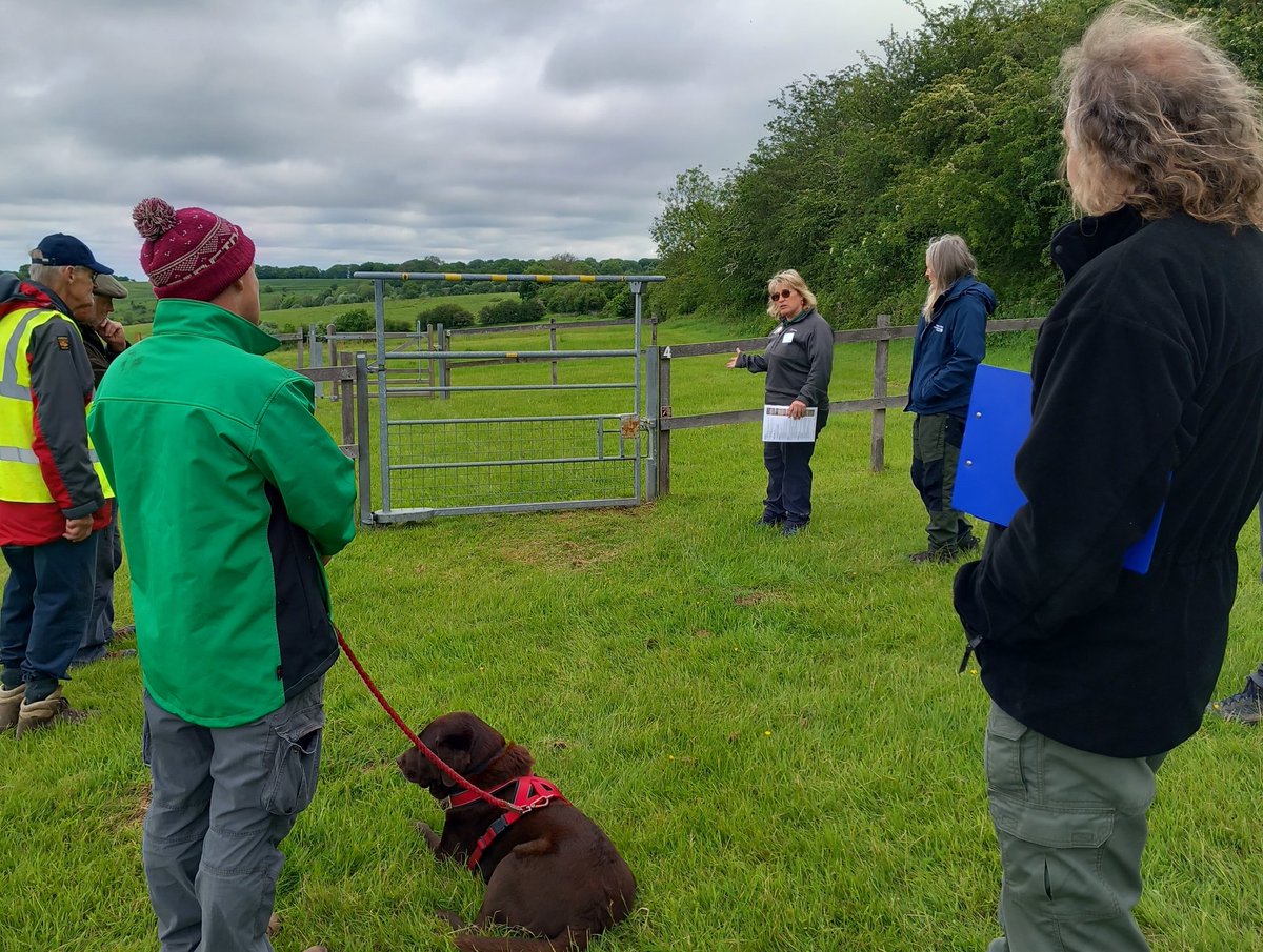 DrElaineKing's tweet photo. Enjoyed catching up w @NaturalEngland &amp; friends y'day @RowantNNR for #NNRWeek2024. Great to hear how mobility vehicles @ChilternsNL funded thro @DefraGovUK's Access for All programme are helping inform organisations on improving #access to their own land. 
https://t.co/uquA9E9Snr https://t.co/l48QxLHKdu