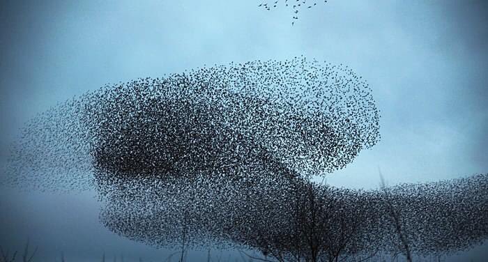 SebnemUguzPhotography eth/tez📸 Şebnem Kavlaklı tweet media