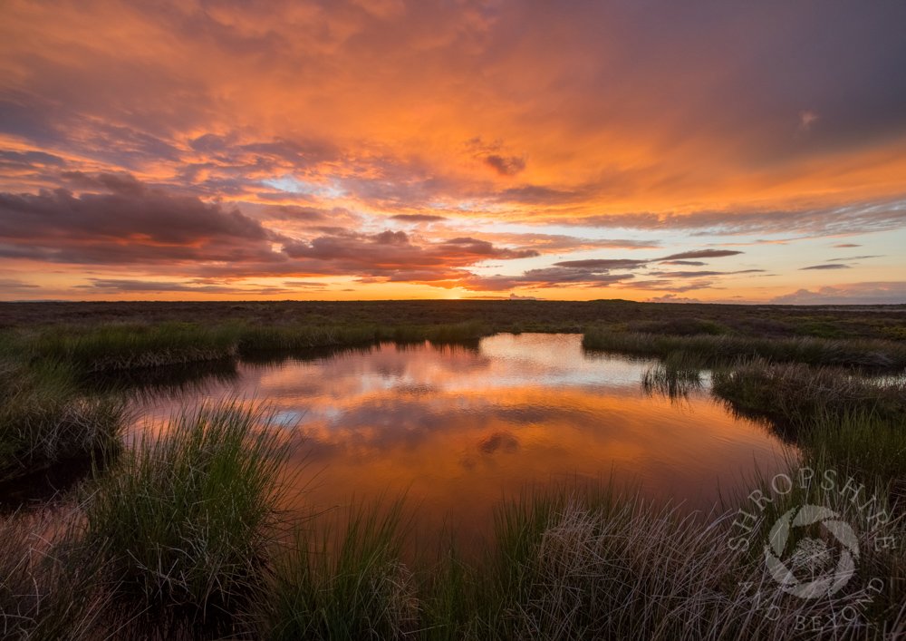 A spectacular sunset on the Long Mynd, with a blaze of colour reflected in a pool near Pole Cottage. It's taken not far from Pole Bank, the highest point on the Long Mynd. It's thought the name may come from the shepherd’s pole that is said to have marked the summit. #Shropshire