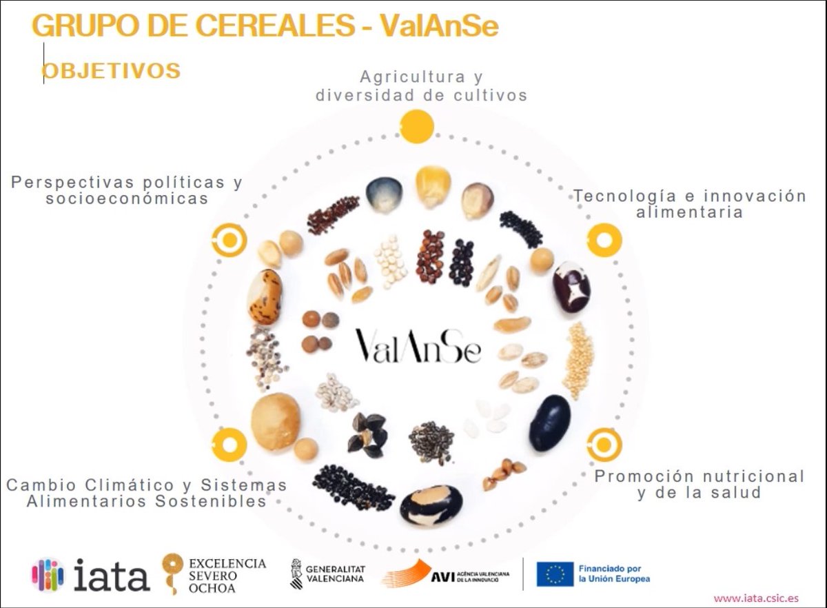NutriCropSpain's tweet photo. En nuestro II seminario contamos con la participación del grupo de investigación @ValAnSe_food, grupo liderado por la Dr. #MonicaHaros, del @iata_csic https://t.co/dY31YMVeDu