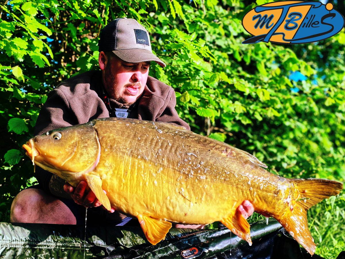 remilamamy's tweet photo. #Fishriver sur une rivière en crue 💥 f16 Mtbilles 
#bait #bigfish #fishing #river #nature #fish #carphunter #TALK #nokill #produitartisanal #addiction #bouillette #capangler #carpbait #fishtanklive #fishinglife #madeinFrance #popup https://t.co/6ZaTtisrVW