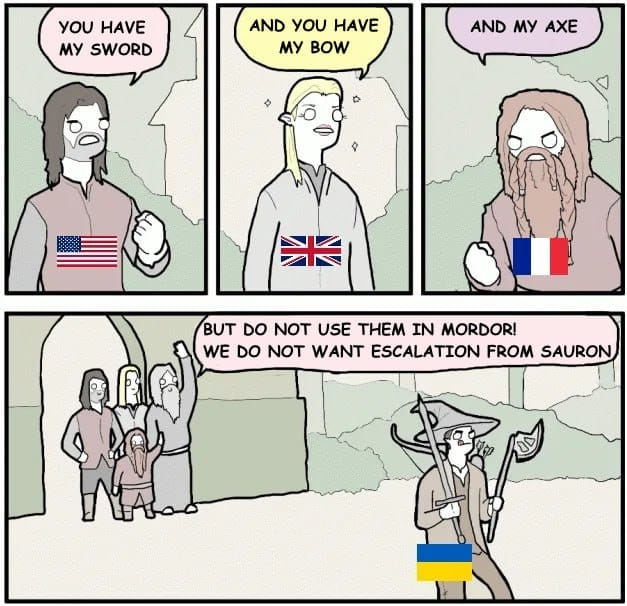 Баба і кіт tweet media