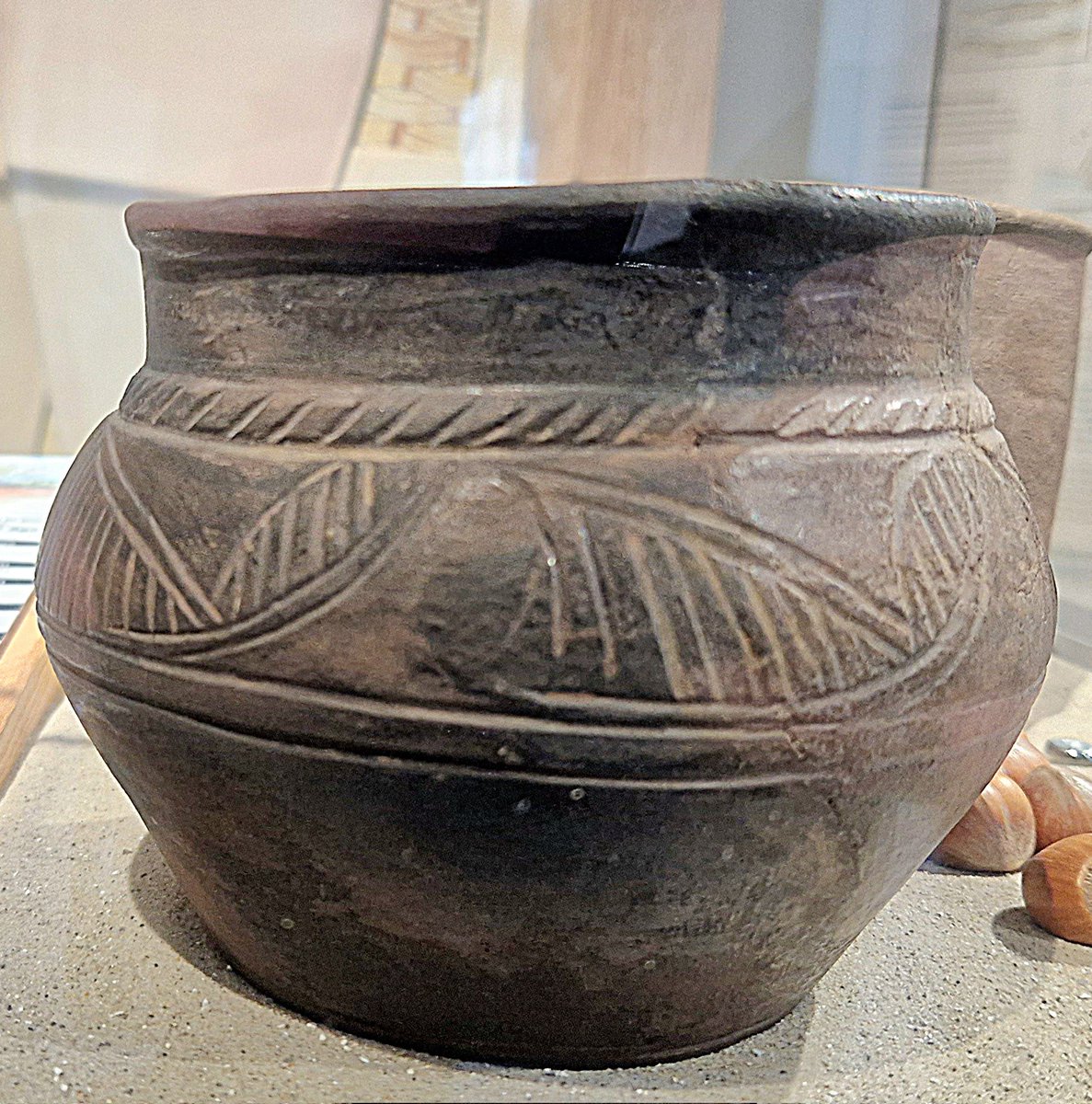 A wonderfully tactile, middle Iron Age decorated *Glastonbury Ware* bowl for #FindsFriday

Found during excavations at Mill Plain (now the Avon Industrial Zone) Christchurch #Dorset

On display in the wonderful @RedHouseMuseum

Hoping we find something similar on #Durotriges24 🤞
