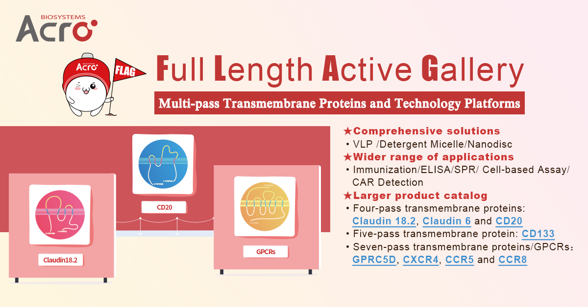 ACROBiosystems has successfully developed HEK293 expressed full-length CD63-VLP protein (Ala 2-Met 238) via "FLAG" to support drugs and therapies R&amp;D targeting CD63.

>>Explore Our Transmembrane Proteins Portfolio: acrobiosystems.com.cn/A1290-Transmem…
