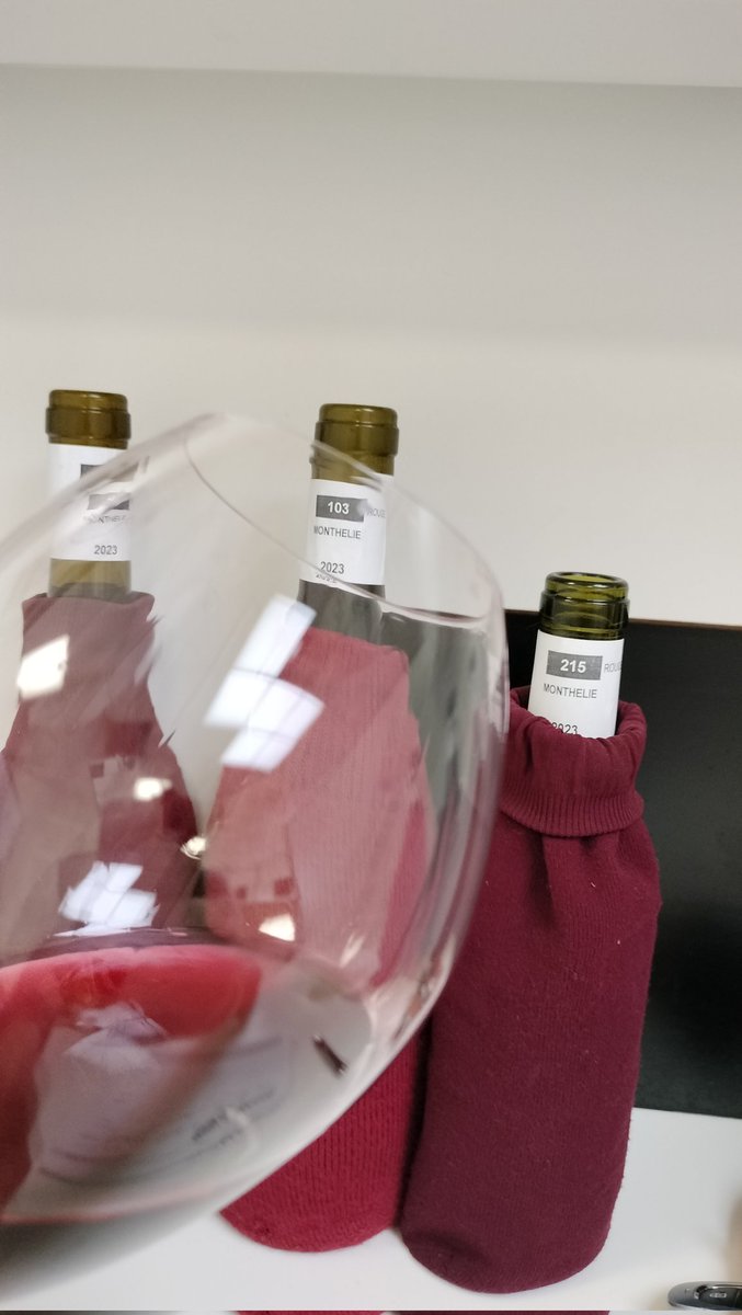 BourgogneAujou1's tweet photo. Le marathon des dégustations du millésime 2023 s'est poursuivi hier avec #Santenay #Maranges #StRomain  #AuxeyDuresses et #Monthelie dans les CITVB des @VinsdeBourgogne 
Derniers arrêts la semaine prochaine les @VinsMacon et dans 3 semaines les @vinsdechablis ! 100% a l'aveugle ! https://t.co/XApVKitXLg