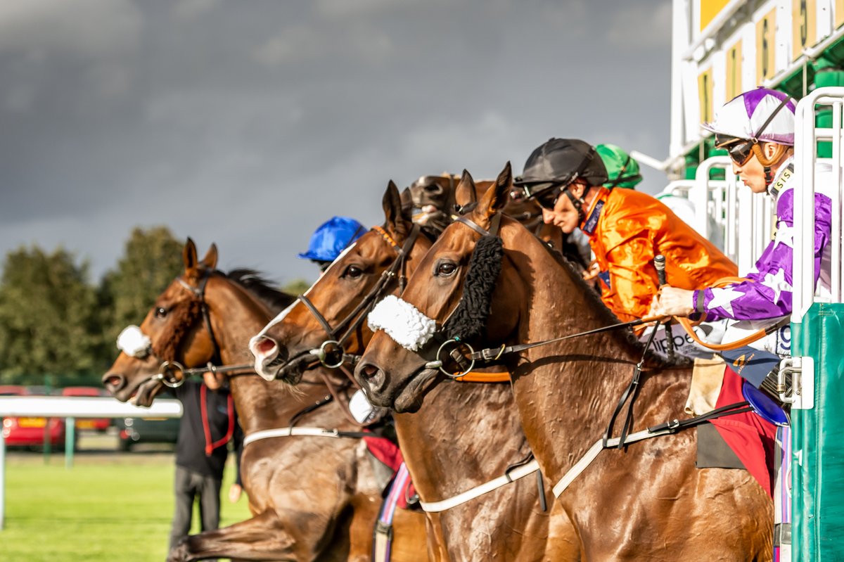 Haydock Park Races tweet media