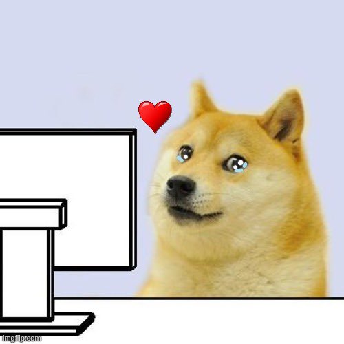 R.I.P. $Kabosu tweet media
