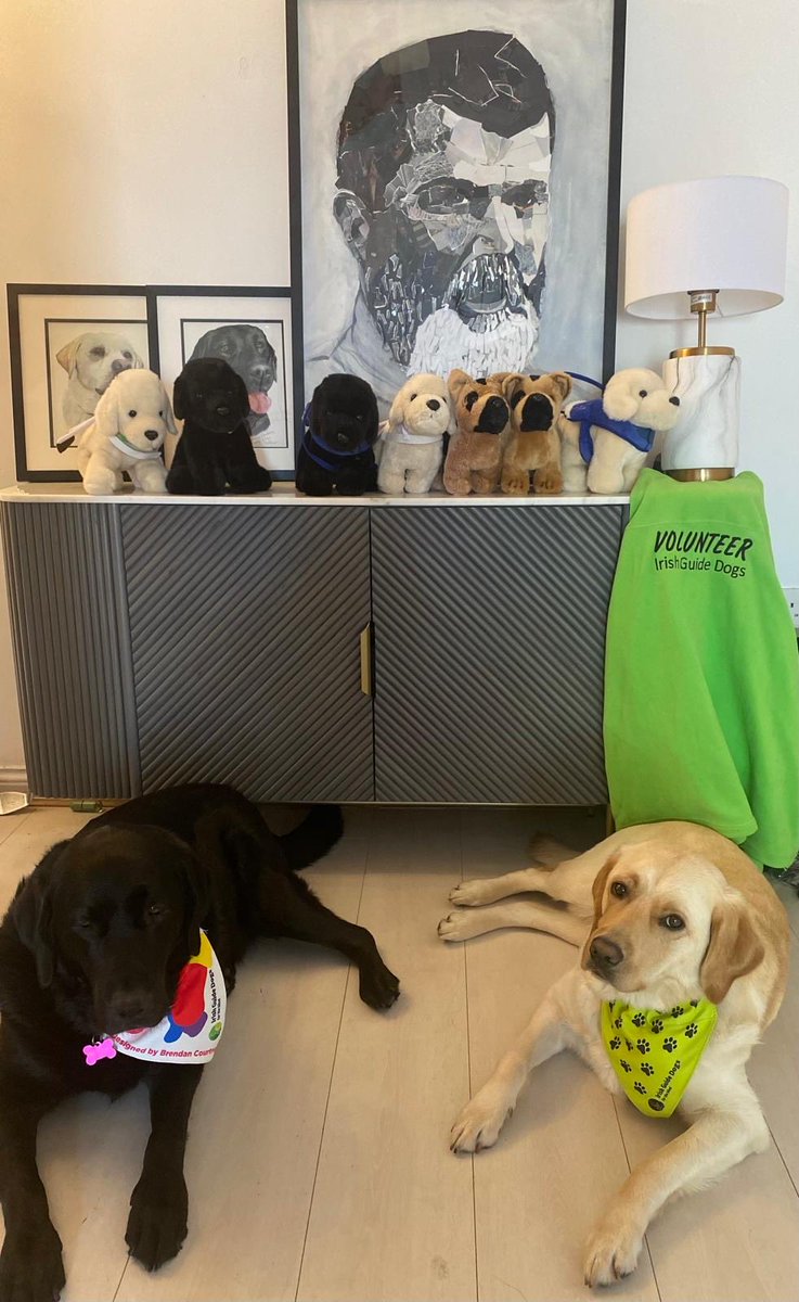 Cork Parents Unite tweet media