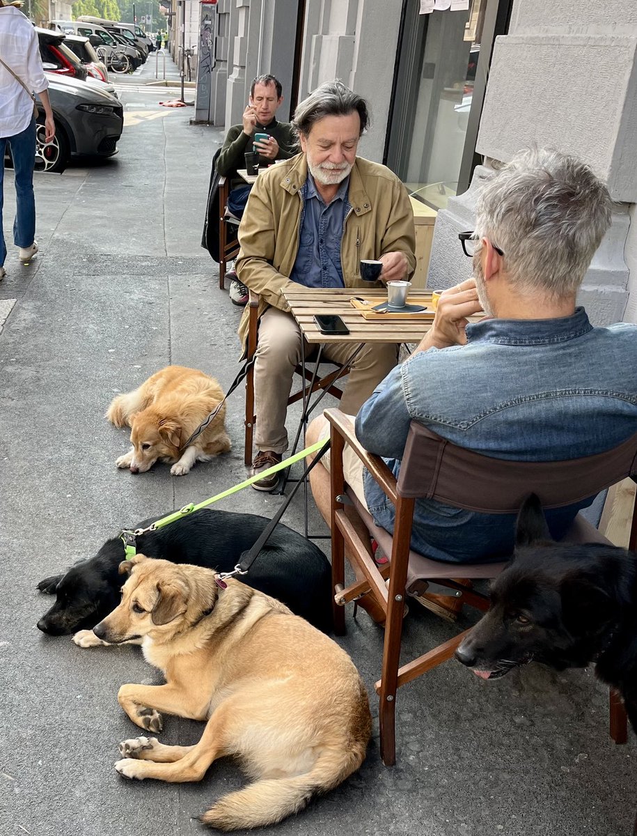 JeremyReesnz tweet media