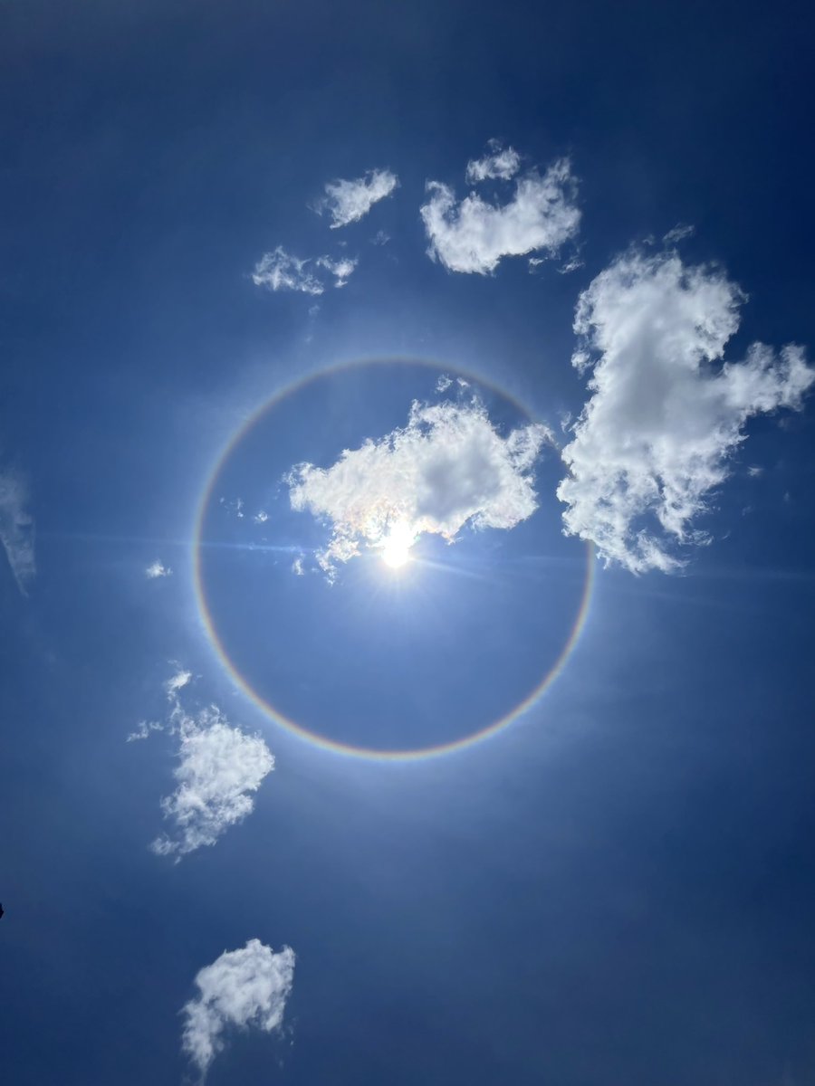 天降祥瑞，台湾当归，举国团圆。