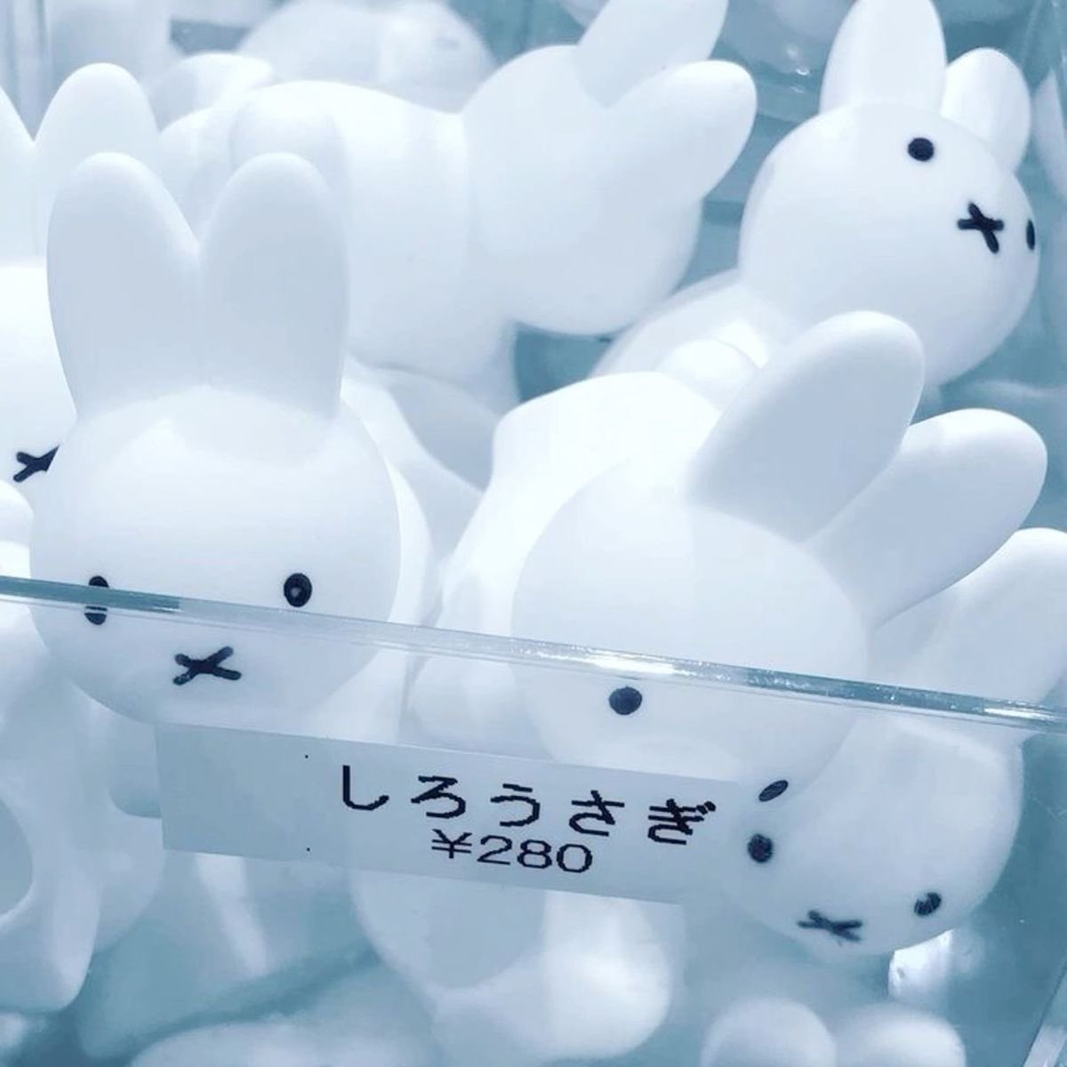 fertilemudkip's tweet photo. ϵ( 'Θ' )϶ https://t.co/eZbyUtGtLP
