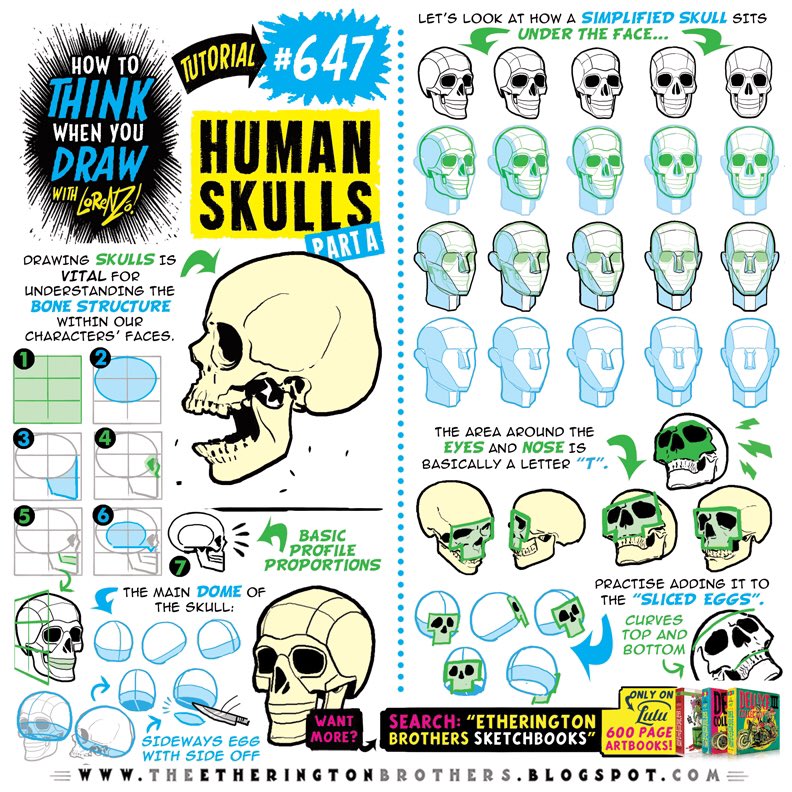 HUMAN SKULLS Pt 1 (of 4!) AND I’ve just posted a tutorial on SHOULDERS over on TIKTOK ( handle: EtheringtonBros ) - hope it’s useful! 
Lorenzo!
#anime #manga #comicart #conceptart #gamedev #animationdev #gameart #tutorial #illustration #art #drawing #characterdesign #visdev